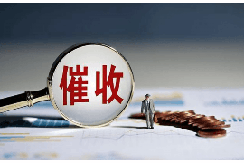 扎囊遇到恶意拖欠？专业追讨公司帮您解决烦恼